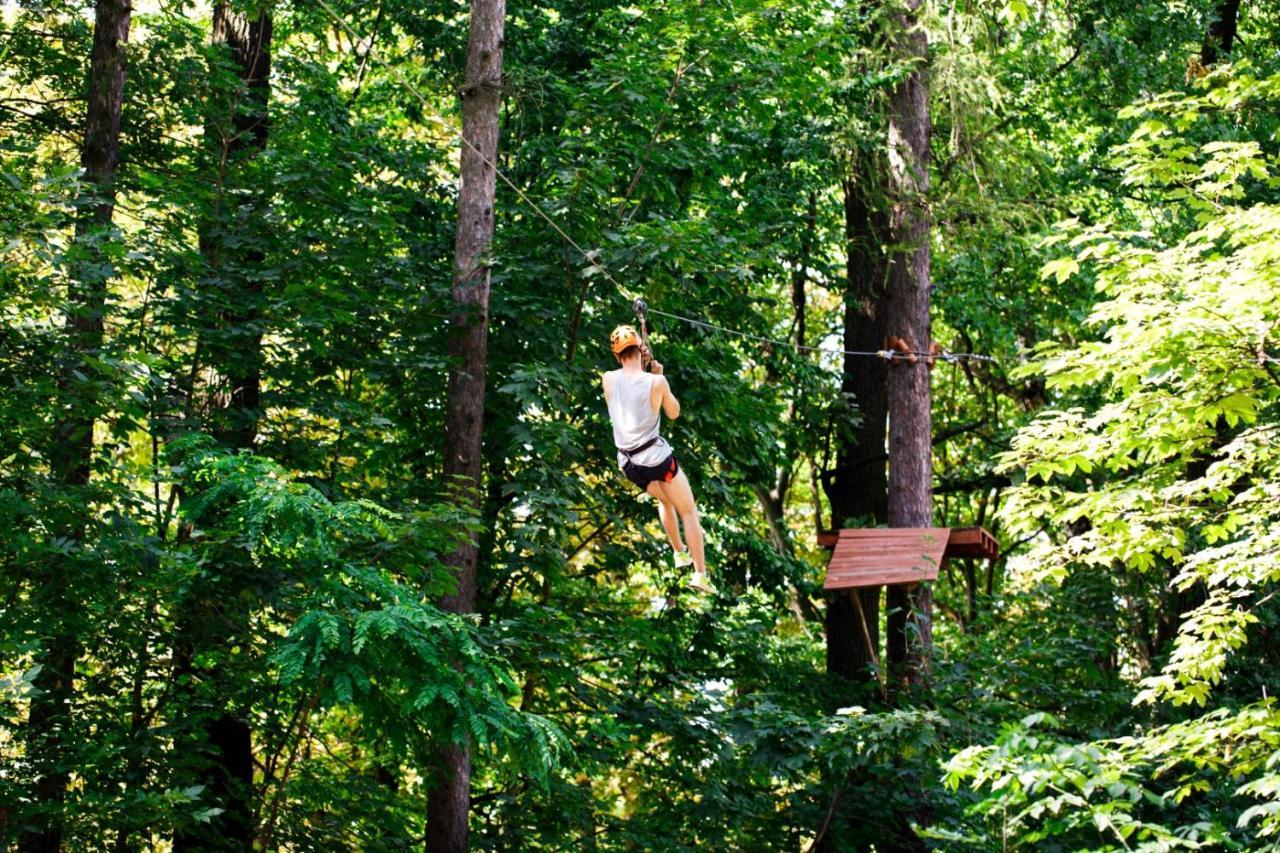 L'Antilope Hotel Nancay ภายนอก รูปภาพ